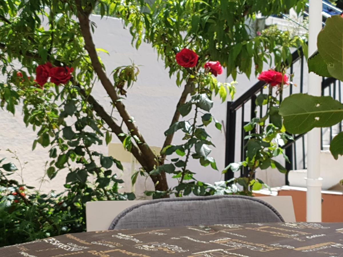 Angelika House 1 Apartment Marathias  Ngoại thất bức ảnh